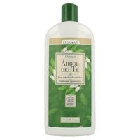 Champú Árbol de té (250ml) DRASANVI | 190 | MUNDO ECOLÓGICO