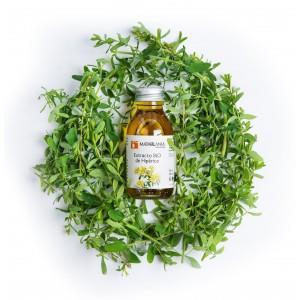 Aceite de hipérico 100% Bio. Extracto (100nml) MATARRANIA | M- Ac Hipérico | MUNDO ECOLÓGICO